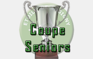 Coupe Elite - Demie finale - Lusigny / Port. Nogent